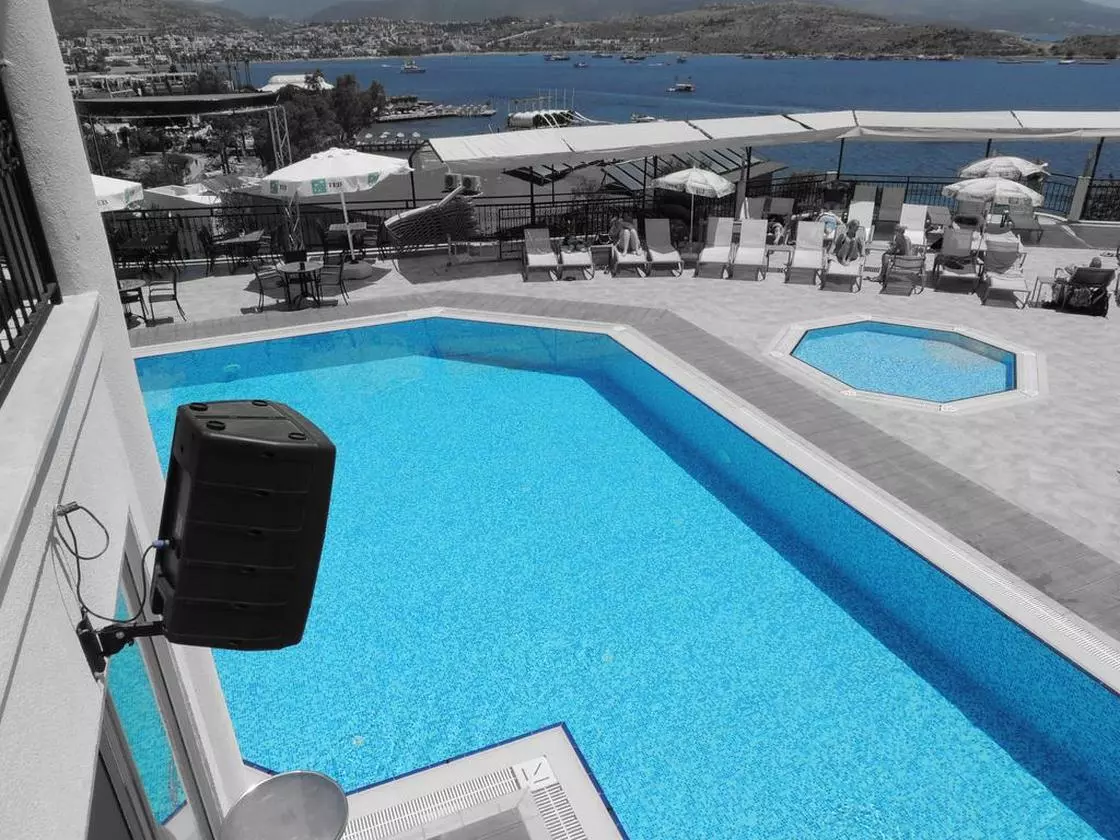 ROSSOVERDE_SHABAVIZ (2).jpg